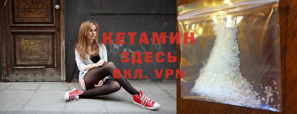 прущие грибы Дмитров