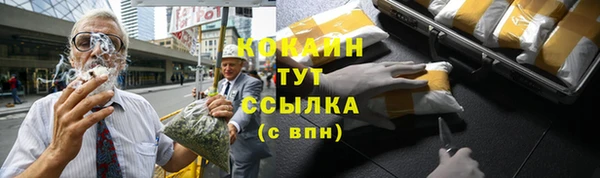 мдпв Дмитриев