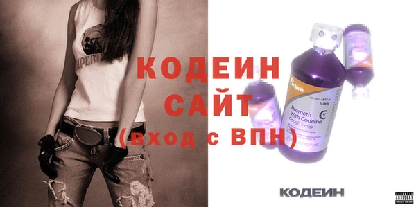 мдпв Дмитриев