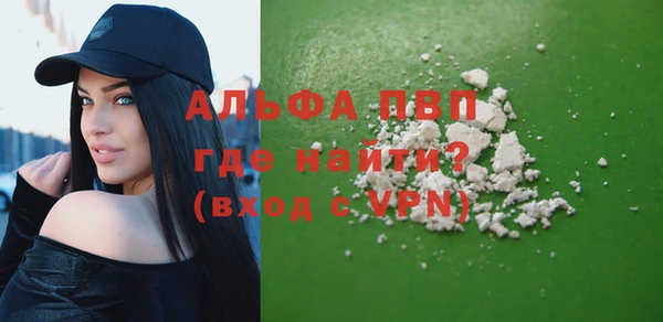 прущие грибы Дмитров