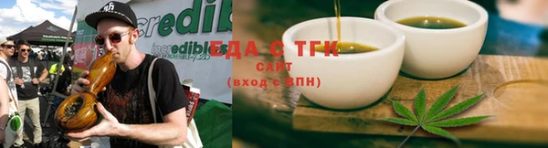 прущие грибы Дмитров