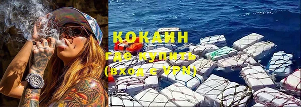 прущие грибы Дмитров