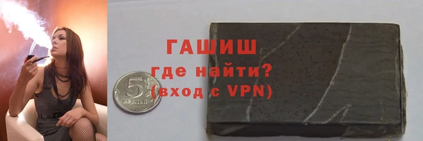 прущие грибы Дмитров