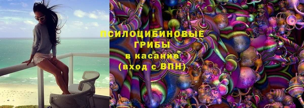 прущие грибы Дмитров