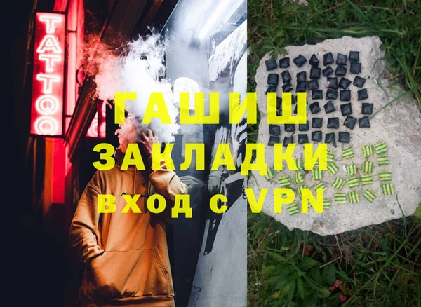 прущие грибы Дмитров
