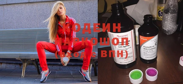 мдпв Дмитриев