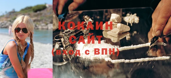 прущие грибы Дмитров