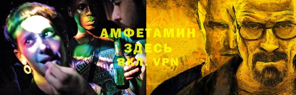 прущие грибы Дмитров