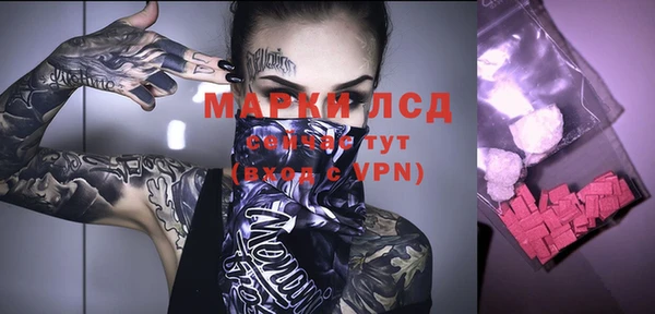 мдпв Дмитриев